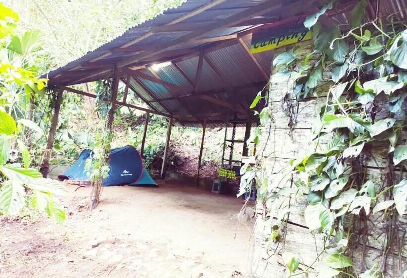 Standard Tent, Treegana