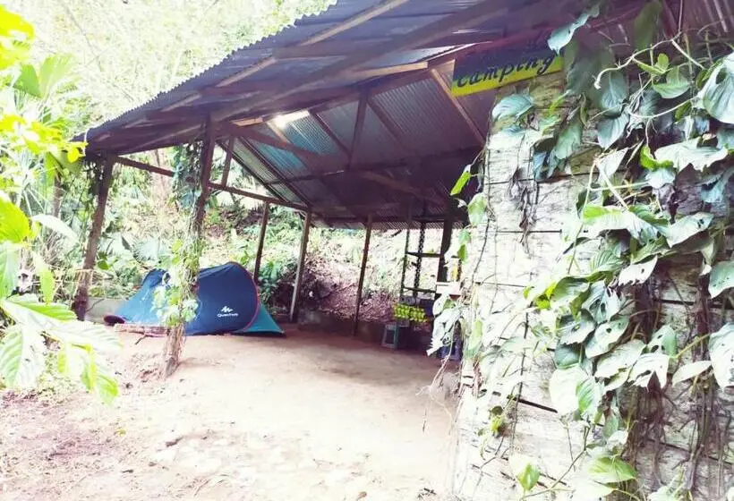 Standard Tent, Treegana