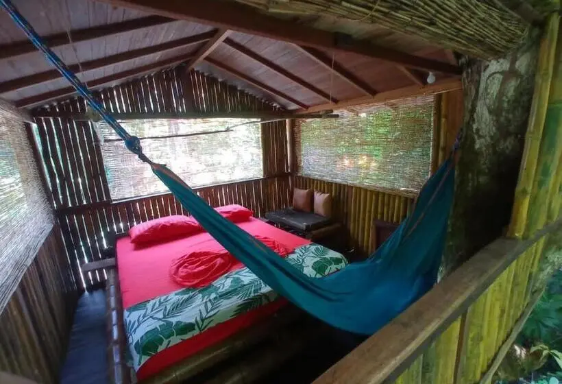 Deluxe Kamer, Treegana