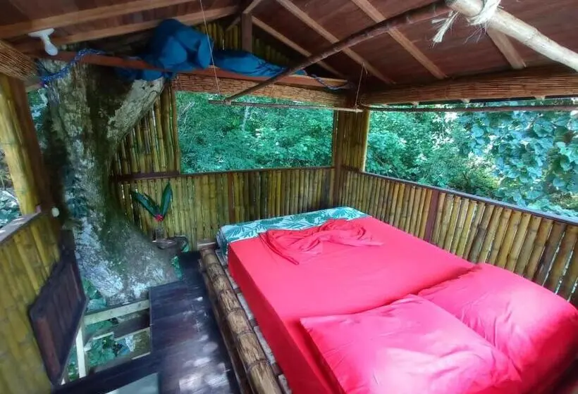 Deluxe Kamer, Treegana