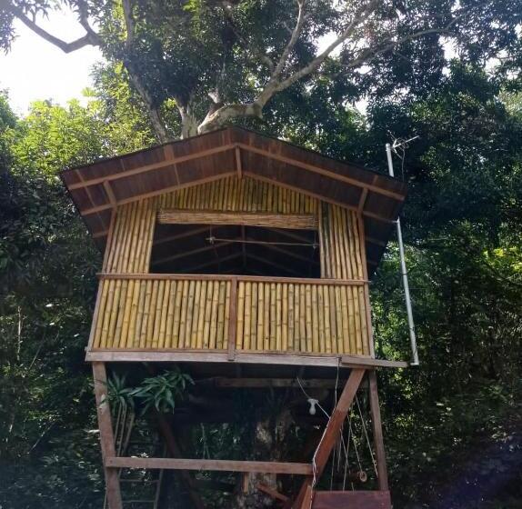 Deluxe Szoba, Treegana