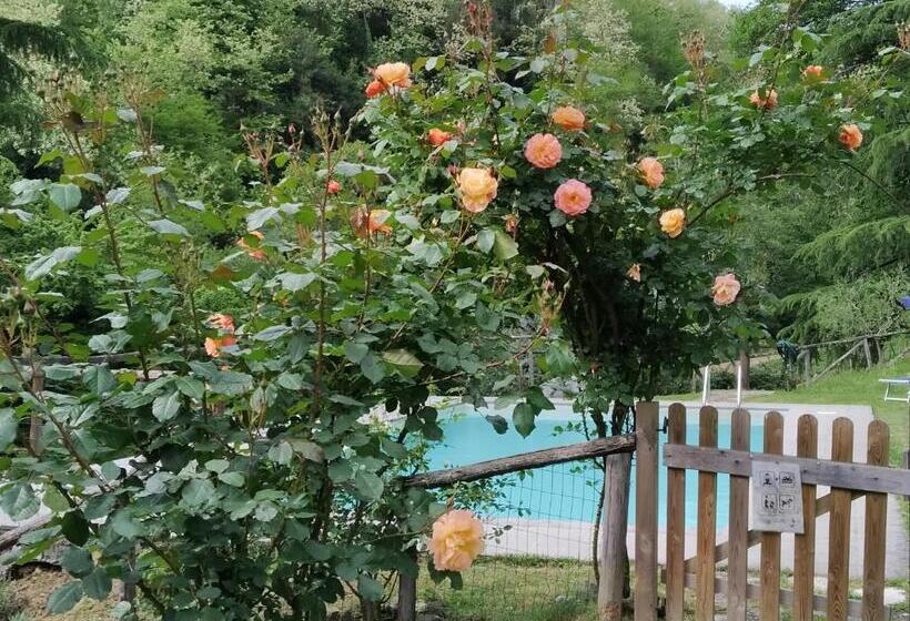 شقة غرفتين, A Casa Del Tosi