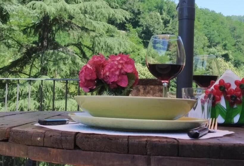 شقة غرفة واحدة مزودة بتراس, A Casa Del Tosi