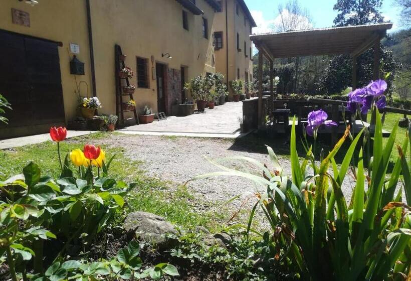 شقة غرفة واحدة, A Casa Del Tosi