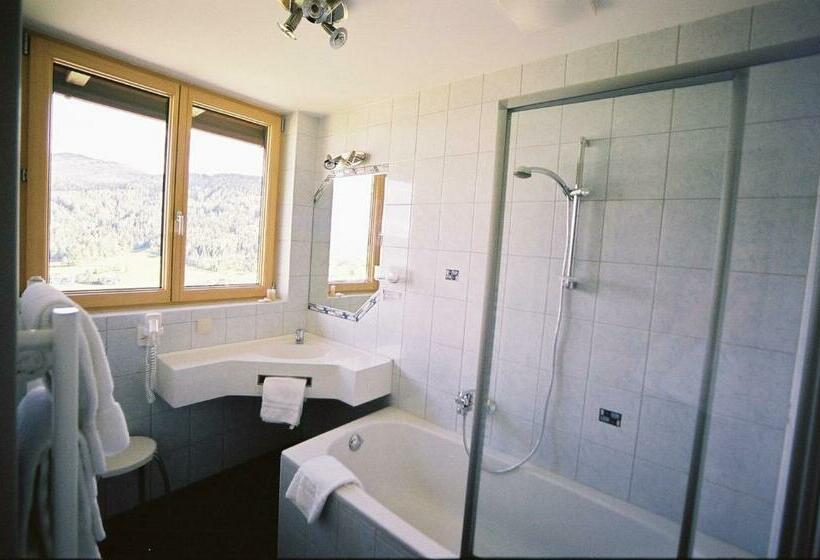 غرفة قياسية ذات إطلالة, Restaurant Stigenwirth