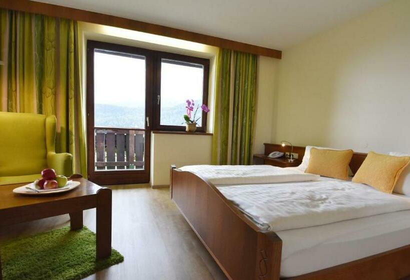 غرفة قياسية, Restaurant Stigenwirth