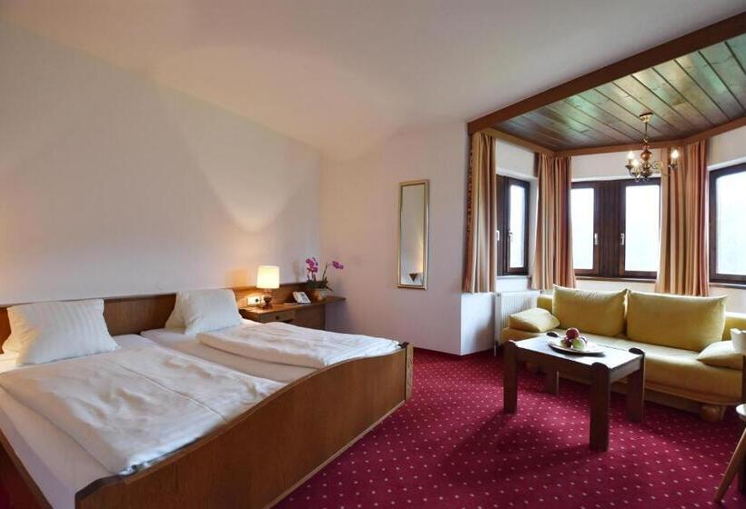 غرفة قياسية ذات إطلالة, Restaurant Stigenwirth