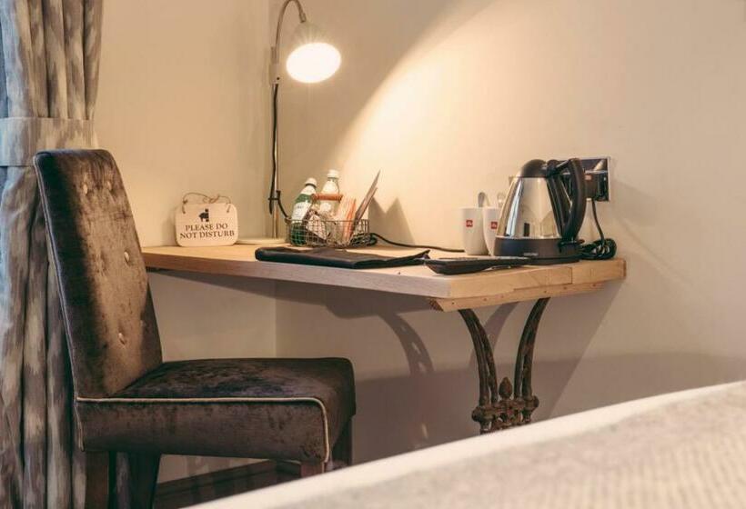 חדר סטנדרט, The Curious Pig In The Parlour