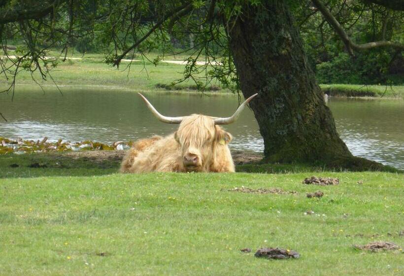 小室, Cypress Log Cabins Accommodation