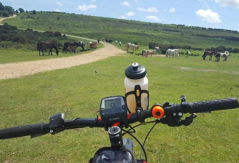 小室, Cypress Log Cabins Accommodation