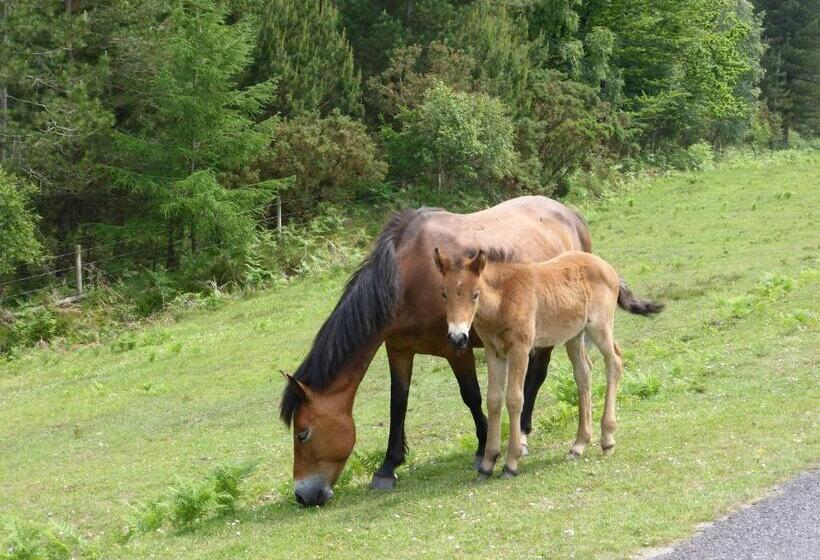 标准间带露台, Cypress Log Cabins Accommodation