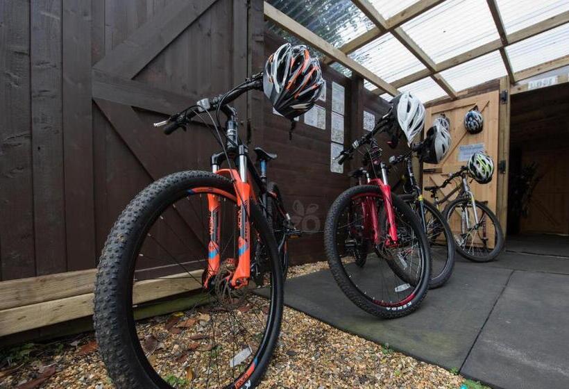 标准间带露台, Cypress Log Cabins Accommodation