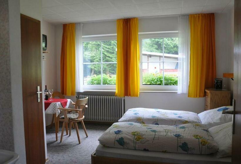 Номер Стандарт, Pension Waldesruh