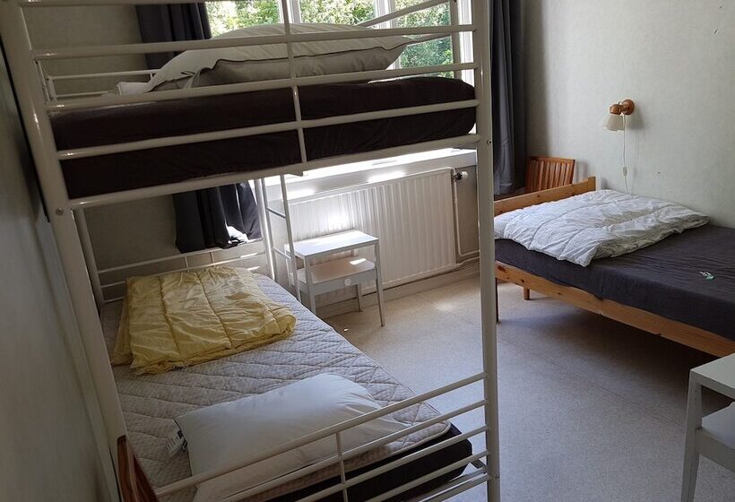 Трехместный Номер Базовый, Långasjönäs Camping & Stugby