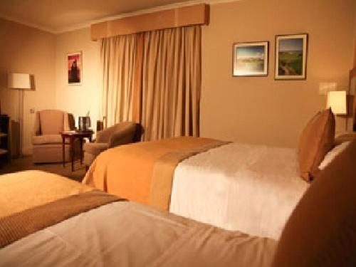 스탠다드 룸, Harty Costello Town House