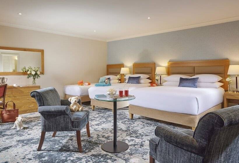 ファミリールーム, Hodson Bay