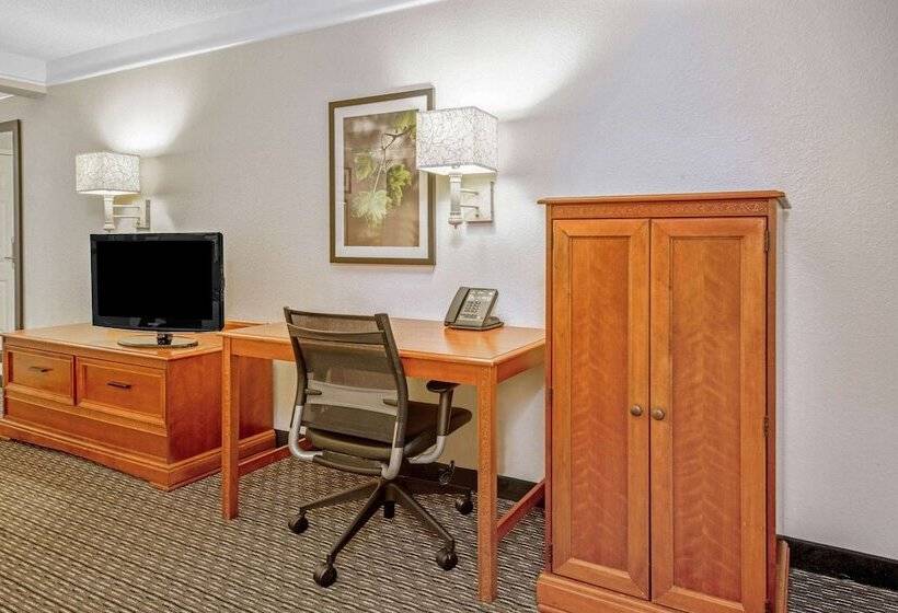 חדר דלוקס, La Quinta By Wyndham San Antonio Airport