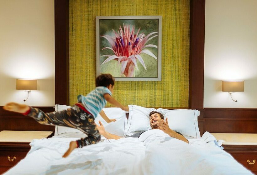 غرفة ديلوكس, Occidental At Xcaret Destination   All Inclusive