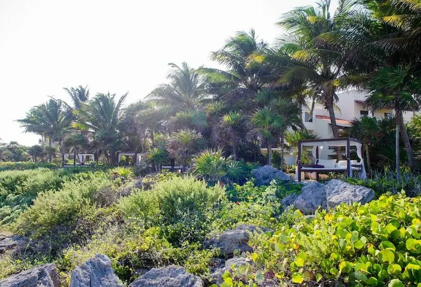 اتاق لوکس, Occidental At Xcaret Destination   All Inclusive