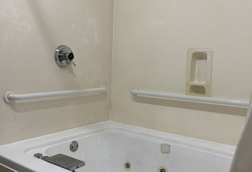 带2个双人床的标准工作室, Quality Inn & Suites University Airport