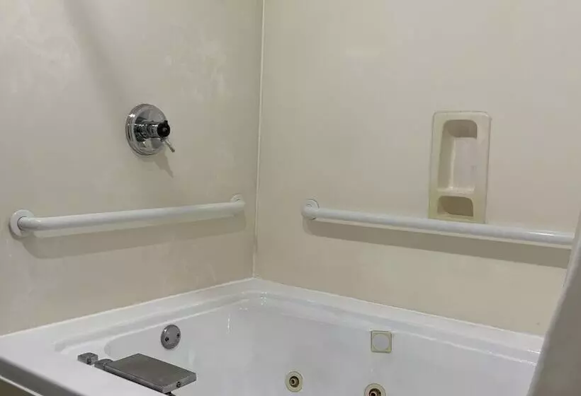 اتاق استاندارد با 2 تخت دوبل, Quality Inn & Suites University Airport
