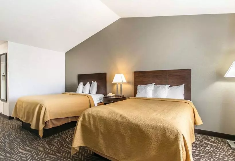 اتاق استاندارد با 2 تخت دوبل, Quality Inn & Suites University Airport