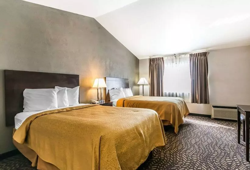 اتاق استاندارد با 2 تخت دوبل, Quality Inn & Suites University Airport