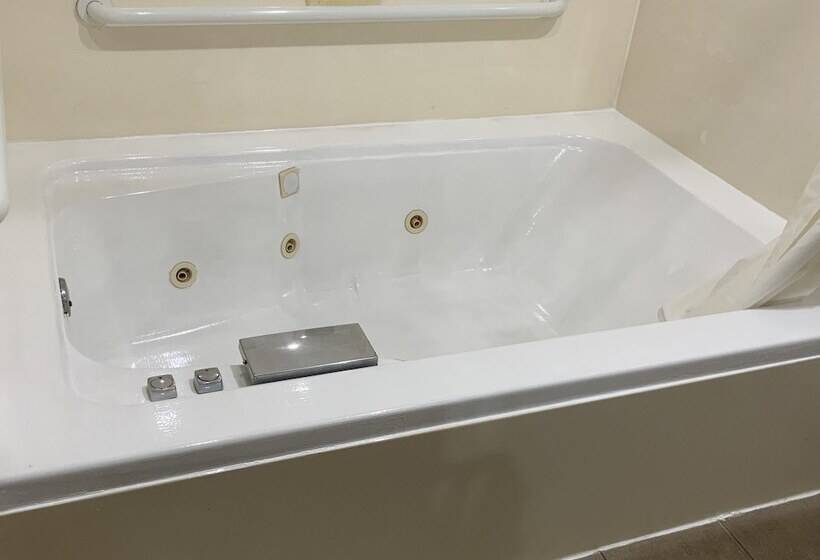 带2个双人床的标准工作室, Quality Inn & Suites University Airport