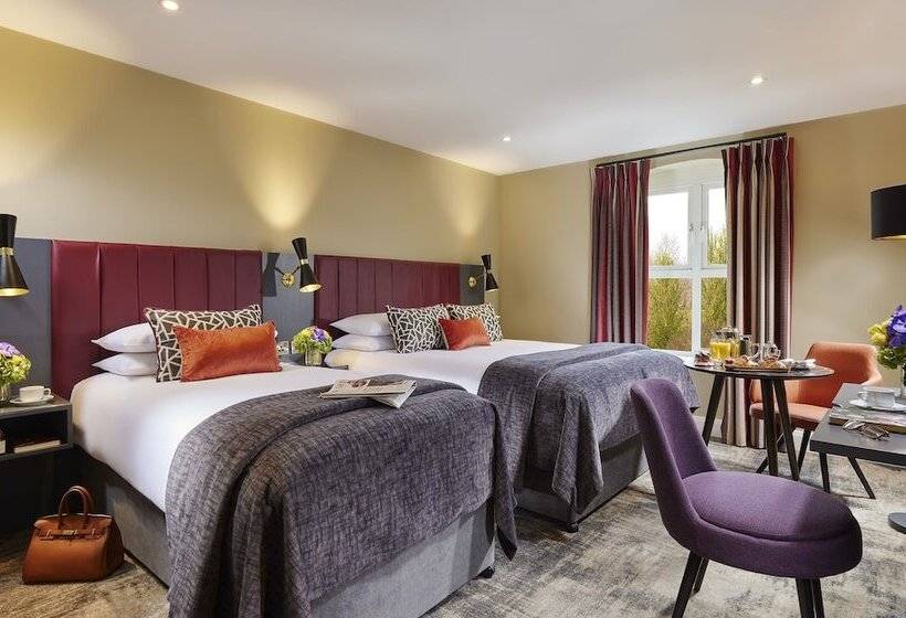 Номер Стандарт, Shannon Springs