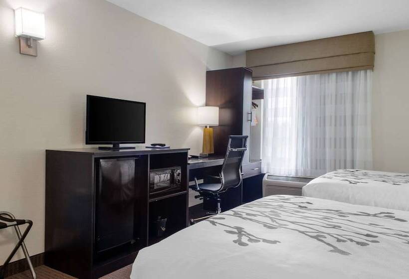 اتاق استاندارد با 2 تخت دوبل, Sleep Inn Baton Rouge East I12