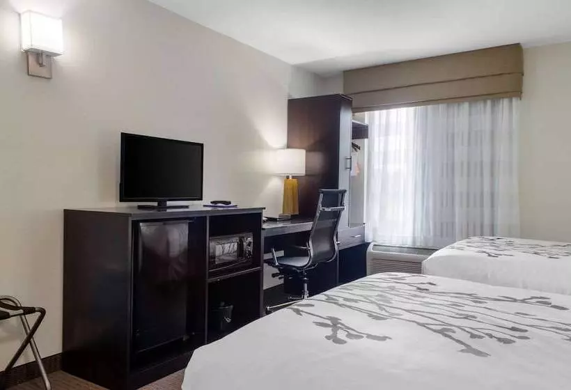 ２ダブルベッドのスタンダードルーム, Sleep Inn Baton Rouge East I12