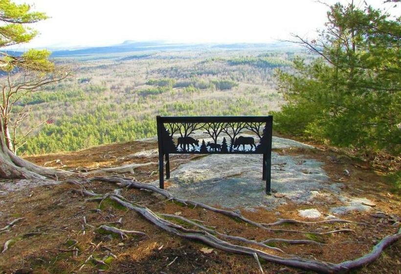 غرفة قياسية سرير كينج, Center Lovell Inn