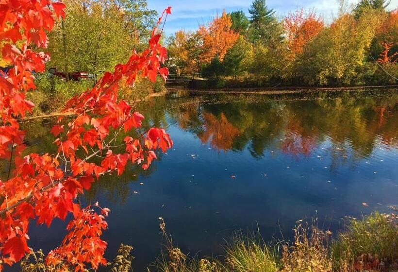 غرفة قياسية مطلة على الجبل, Center Lovell Inn
