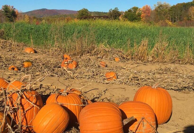 غرفة قياسية ثلاثية, Center Lovell Inn