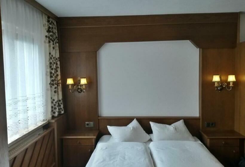 スタンダードルーム, Gasthof Pension Traube