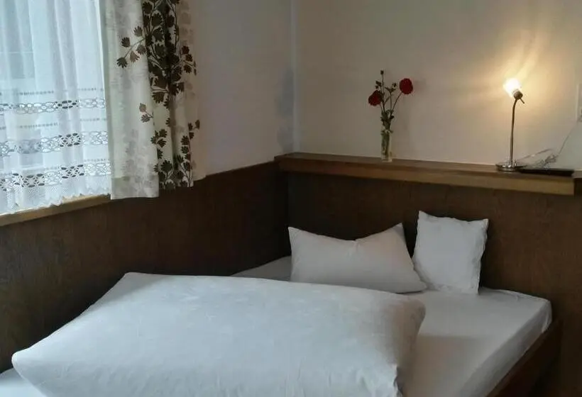 スタンダードシングルルーム, Gasthof Pension Traube