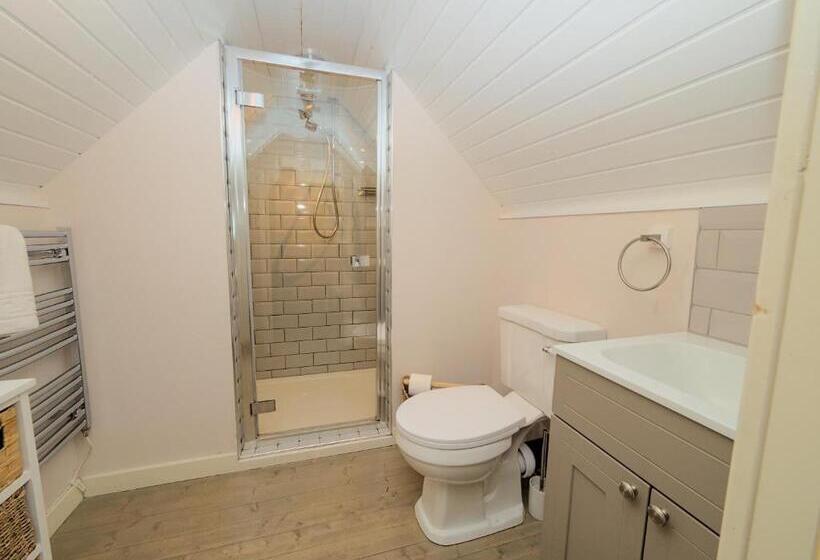 带大床的标准间, Riverside Inn, Aymestrey