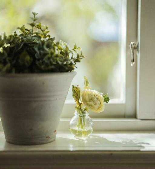 스탠다드 4인용 룸 공용 욕실, Bäcks Bed & Breakfast