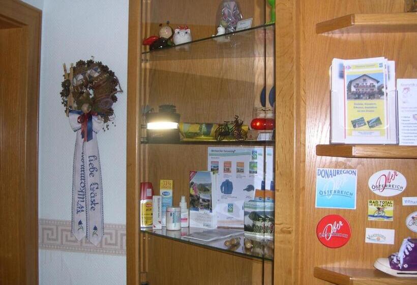 غرفة أساسية فردية, Gästehaus Donautal