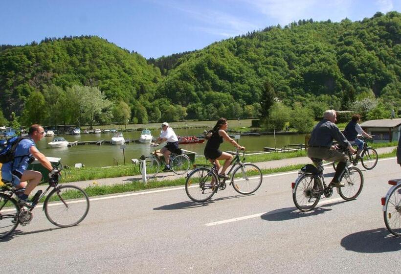 غرفة قياسية مزوَّدة بشُرفة, Gästehaus Donautal