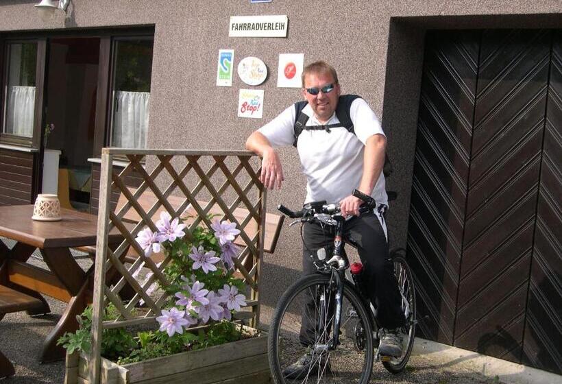 غرفة أساسية, Gästehaus Donautal