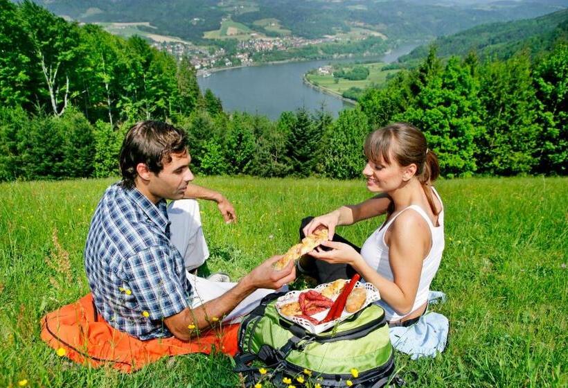 غرفة أساسية, Gästehaus Donautal