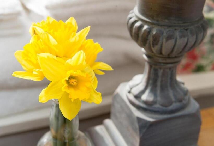 غرفة قياسية, Rumah Home B&b