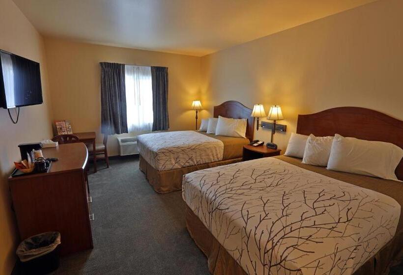 스탠다드 룸, Sandhills Guest House Motel