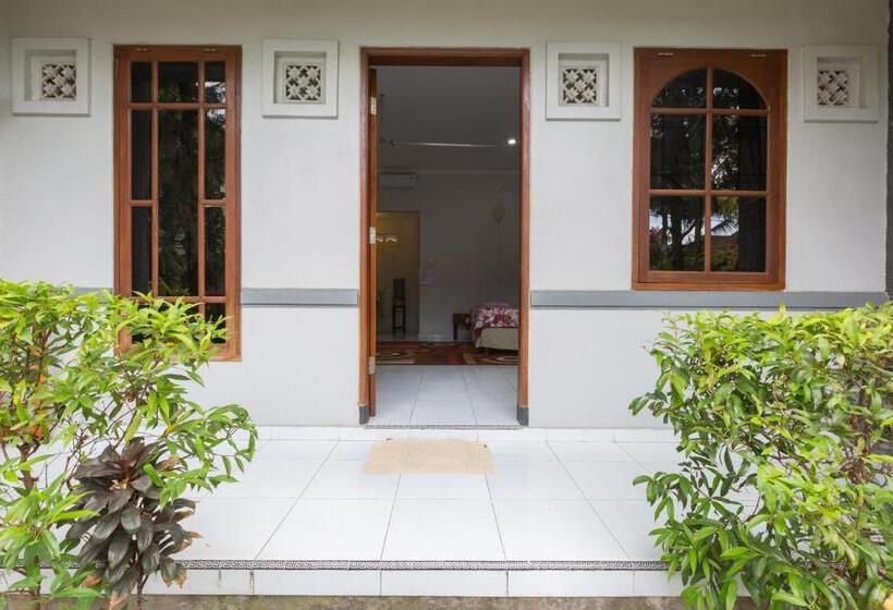 חדר סופריור, Baliamandarlinghouse