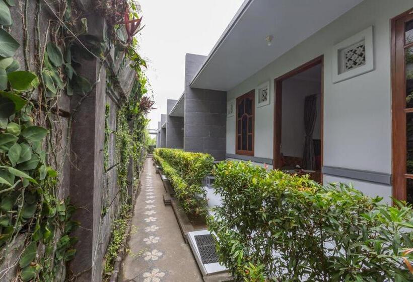 חדר סופריור, Baliamandarlinghouse