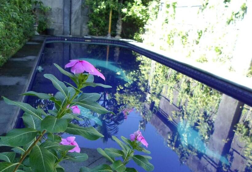 חדר סטנדרט, Baliamandarlinghouse