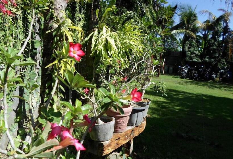 חדר סטנדרט, Baliamandarlinghouse