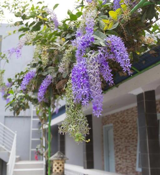 סוויטה נוף לבריכה, Baliamandarlinghouse