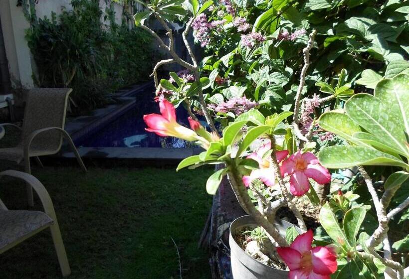 חדר סופריור, Baliamandarlinghouse